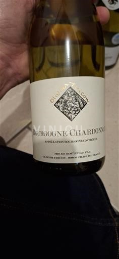 Burgundi Bourgogne Chardonnay Olivier Tricon 2023