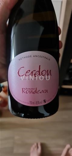 Savoja in Bugej Bugey-Cerdon Domaine Rondeau Cerdon Neleten.