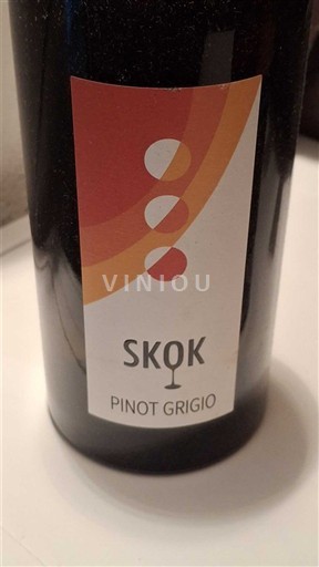 Val d'Aoste Pinot Gris Skok 2023