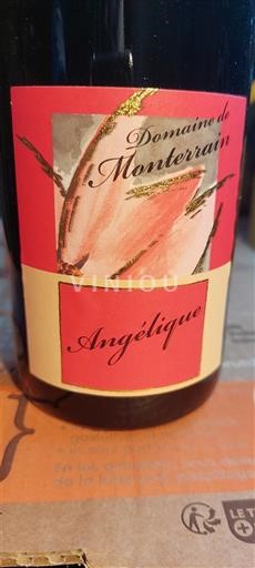 Burgundi Mâcon ja Mâcon-kylät Domaine Monterrain Angélique Ei vuosikertaa