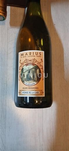 Alps and Rhone Valley Rhône Hills Marius Avenue de la Gare 2021