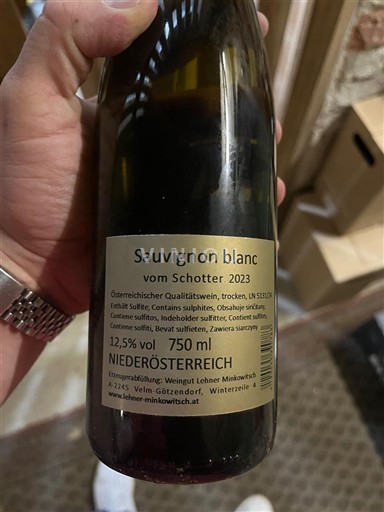Bassa Austria Weinviertel DAC Weingut Lehner Minkowitsch Sauvignion Blanc 2023