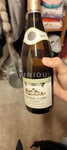 Burgundija Santenay Premier Cru Domaine Philippe Le Hardi La Comme 2009