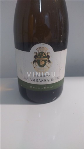 Languedoc y Rosellón País de Oc Domaine Bournet Les Ambassadeurs 2009