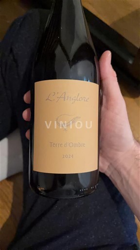 Rhône Valley Tavel L'Anglore Terre d'Ombre 2024
