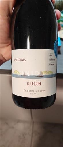 Dolina Loare Bourgueil Complices de Loire Les Castines 2024