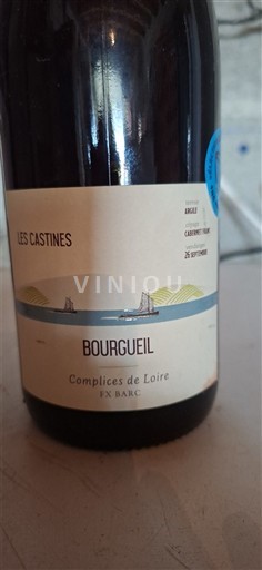 Lugina e Luarës Bourgueil Complices de Loire Les Castines 2024
