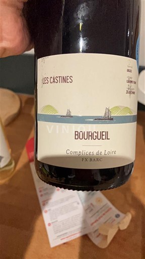 Víno Rouge sec Les Castines Complices de Loire 2024 Francie Údolí Loiry Bourgueil AOC