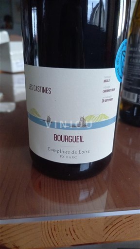 Loire Valley Bourgueil Complices de Loire Les Castines 2024