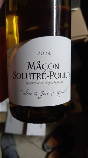 Burgundi Mâcon ja Mâcon-kylät Cédric & Jérôme Segaud 2024