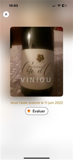 Bourgondië Bourgogne Côte d'Or Bourgogne Pinot Noir 2019