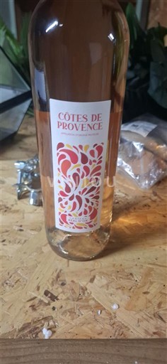 Provence Côtes-de-Provence Château Réal Or 2023