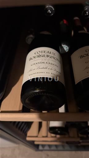 Bourgogne Coteaux bourguignons Vignerons de Buxy Grande Cadolle 2023