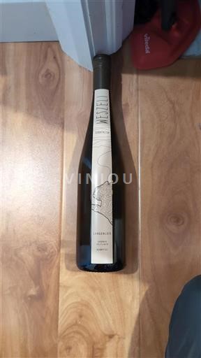 Niederösterreich Kamptal DAC Weingut Weszeli Terrafactum 2023