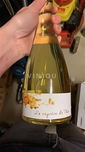 Beaujolais Le Caprice de Théo 2021