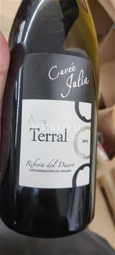 Castile and León Ribera del Duero Arves del Terral Julia 2018