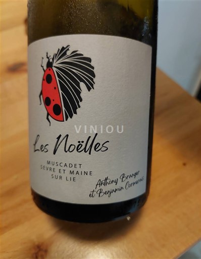 Vallée de la Loire Muscadet-sèvre-et-maine Les Noëlles 2023