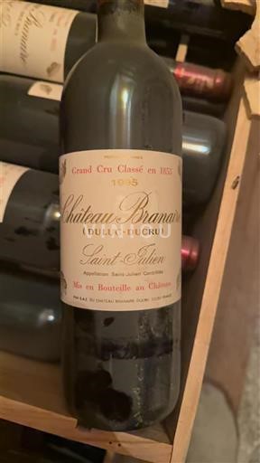 Bordeaux Saint-Julien Château Branaire-Ducru 1995