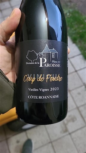 Vallée de la Loire Côte-roannaise Domaine La Paroisse Coup de Foudre Vieilles Vignes 2023