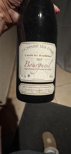 Valle del Loira Bourgueil Domaine Les Dîmes les Rochettes 2015