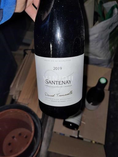Burgundy Santenay Domaine David Ternynck 2019