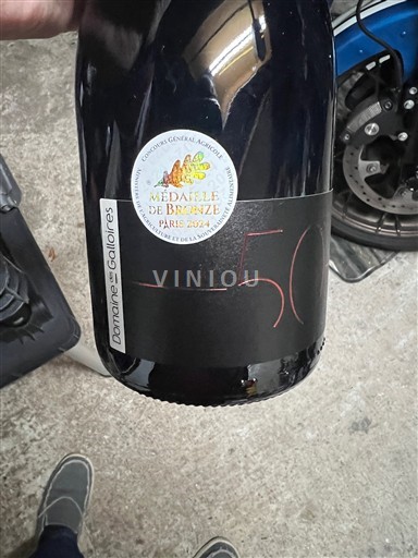 Vallée de la Loire Anjou Domaine Des GalloIres 2022