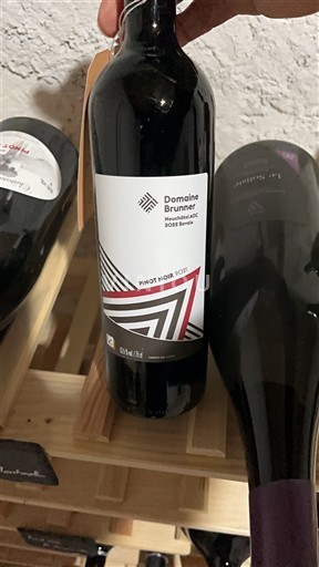 Neuchâtel Neuchâtel AOC Domaine Brunner Pinot Noir 101 2021