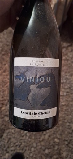 Valle del Loira Saumur Domaine La Paleine Esprit de Chenin 2018