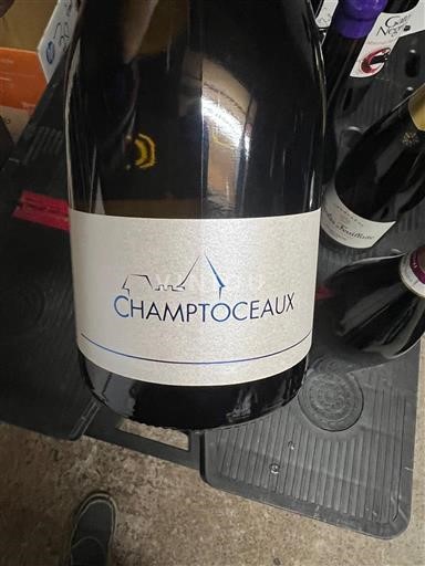 Vallée de la Loire Muscadet-coteaux-de-la-loire Domaine Domaines les Galloires - Champtoceaux 2019