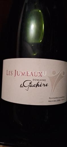 Vallée de la Loire Muscadet-sèvre-et-maine Domaine La Gachère Les Jumeaux 2017