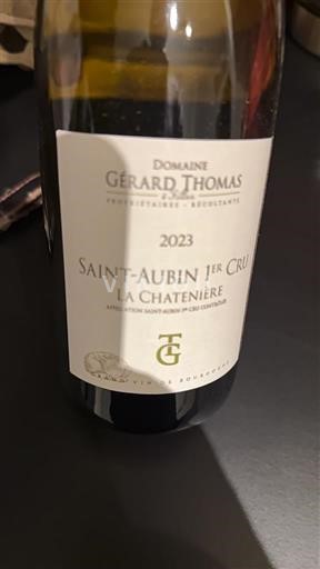 Bourgondië Niet gespecificeerd Premier Cru Domaine Gérard Thomas La Chatenière 2023