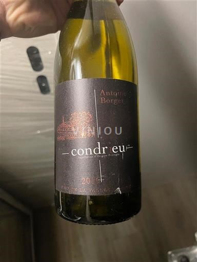 Rhône Valley Condrieu Antiqua Borgo 2016