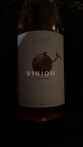 Valle del Loira Bourgueil Domaine S Ouches Flirt 2024