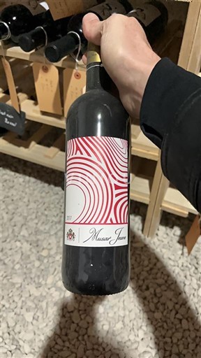 Bekaa Nedoločeno Château Musar Musar Jeune 2017