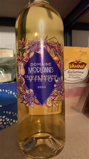 Zuidwest-Frankrijk Côtes de Gascogne Domaine Morlanes 2022