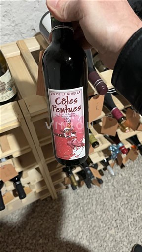 Neuchâtel La Béroche Vin de La Robella Côtes Pentues 1993
