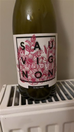 Dolina Loare À Peu Près Sauvignon 2023