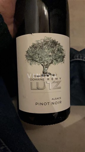 Alsace Domaine Rémy Lutz Không niên vụ
