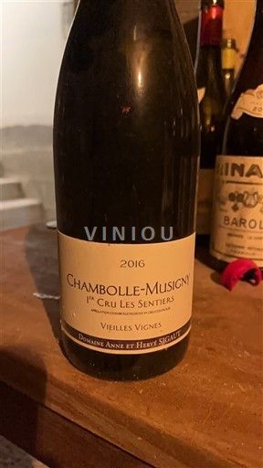 Bourgogne Chambolle-Musigny Premier Cru Domaine Anne et Hervé Sigaut 1er Cru Les Sentiers Vieilles Vignes 2016