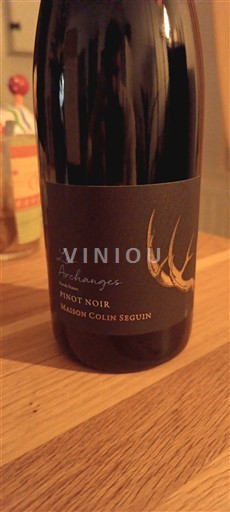 Bourgondië Bourgogne Maison Colin Seguin Les Archanges Niet-geïntegreerd