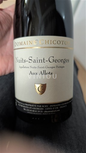 Bourgogne Nuits-saint-georges Domaine Chicotot Aux Allots 2013