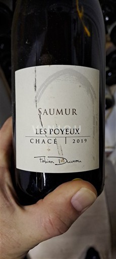 Loiretal Saumur Fabien Duveau Les Poyeux 2019