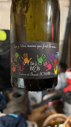 Loire Valley Saint-Pourçain Cédric et Benoît Bonvin Les p'tites mains qui font le vin 2019