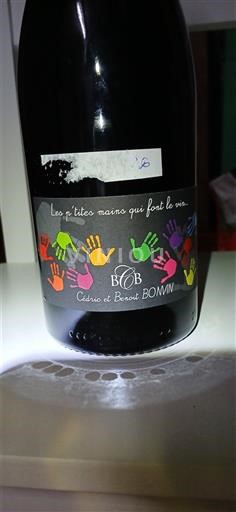 Thung lũng sông Loire Saint-Pourçain Cédric et Benoît Bonvin Les p'tites mains qui font le vin 2019