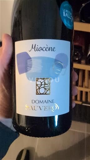 Valle del Loira Anjou Domaine Sauveroi Miocène 2024