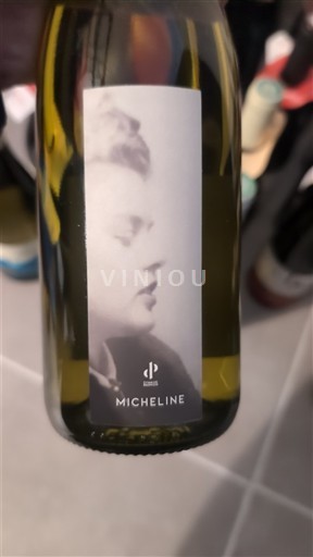 Sydvestfrankrig Fronton Domaine Plaisance Penavayre Micheline 2021