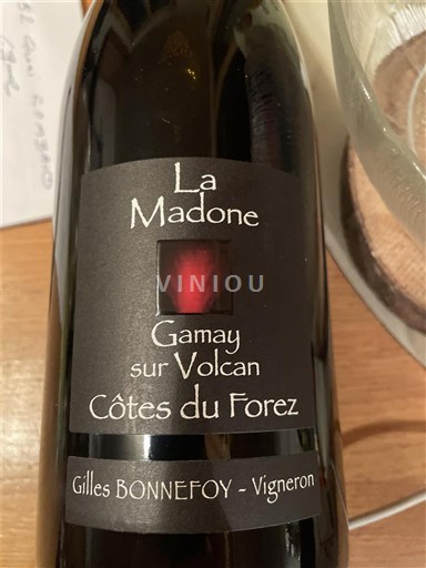 Dolina Loare Côtes-du-forez La Madone Gamay sur Volcan 2024