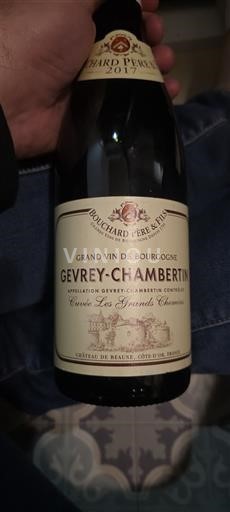 Burgundy Gevrey-Chambertin Bouchard Père & Fils Les Grands Chemins 2017