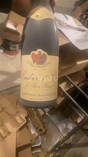 Borgoña Ladoix Premier Cru Capitain-Gagnerot Le Bois Roussot 2018
