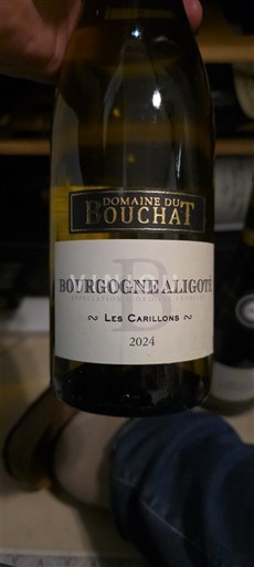 Bourgondië Bourgogne Aligoté Domaine Bouchat Les Carillons 2024